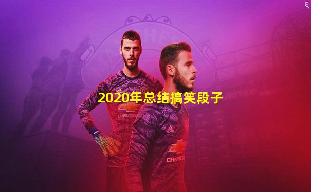 2020年总结搞笑段子