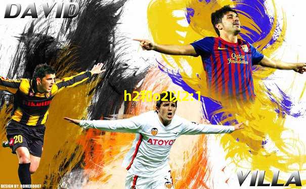 h2和o2以2:1