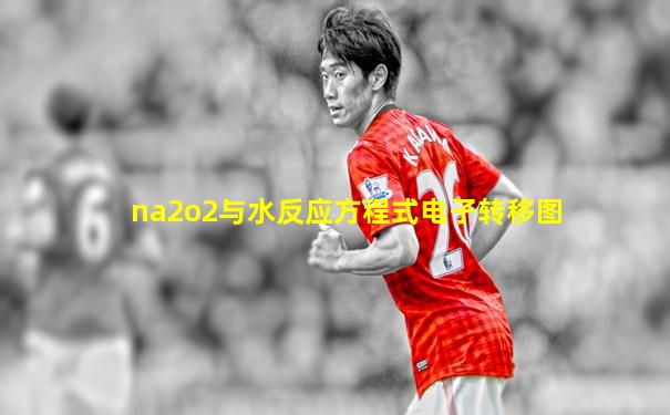 na2o2与水反应方程式电子转移图