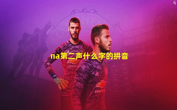na第二声什么字的拼音
