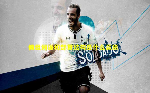 偏组词语和部首结构是什么意思