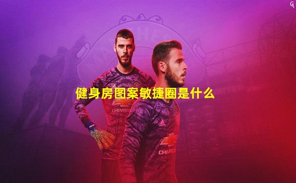 健身房图案敏捷圈是什么