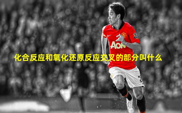 化合反应和氧化还原反应交叉的部分叫什么