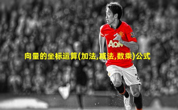 向量的坐标运算(加法,减法,数乘)公式