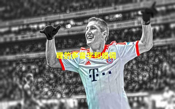 哩的多音字和组词