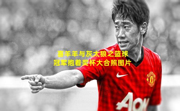 喜羊羊与灰太狼之篮球冠军抱着奖杯大合照图片