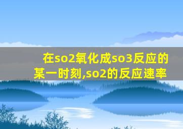 在so2氧化成so3反应的某一时刻,so2的反应速率