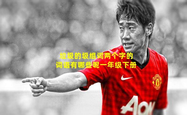 垃圾的圾组词两个字的词语有哪些呢一年级下册