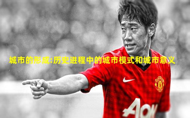 城市的形成:历史进程中的城市模式和城市意义