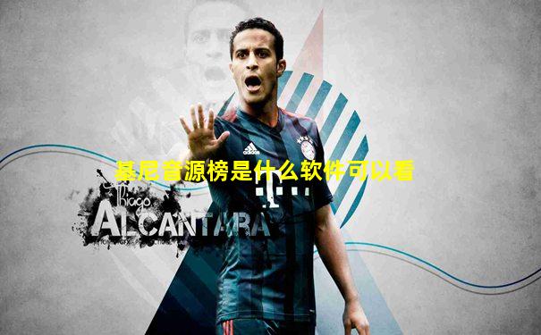 基尼音源榜是什么软件可以看