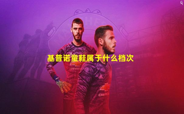 基普诺童鞋属于什么档次