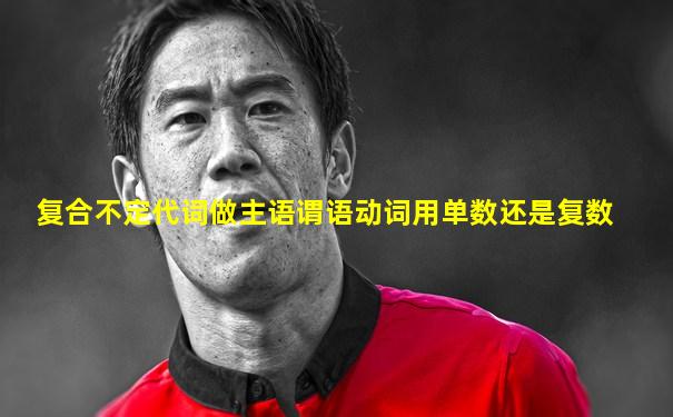 复合不定代词做主语谓语动词用单数还是复数