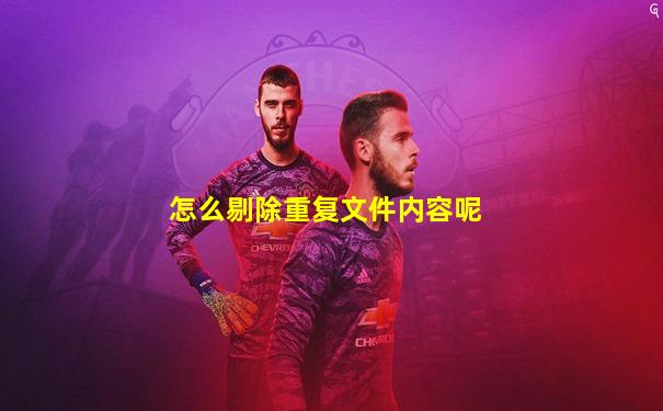 怎么剔除重复文件内容呢