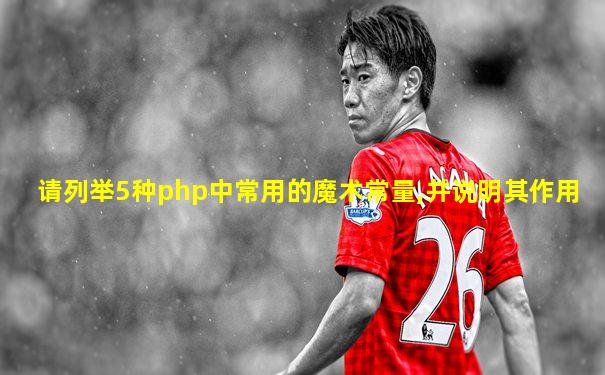 请列举5种php中常用的魔术常量,并说明其作用