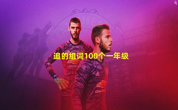 追的组词100个一年级