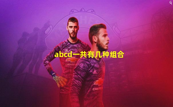 abcd一共有几种组合