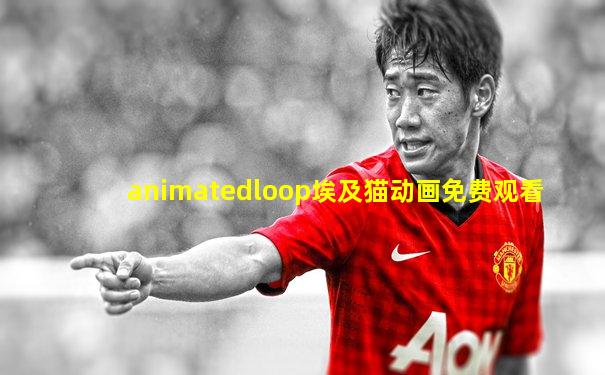 animatedloop埃及猫动画免费观看