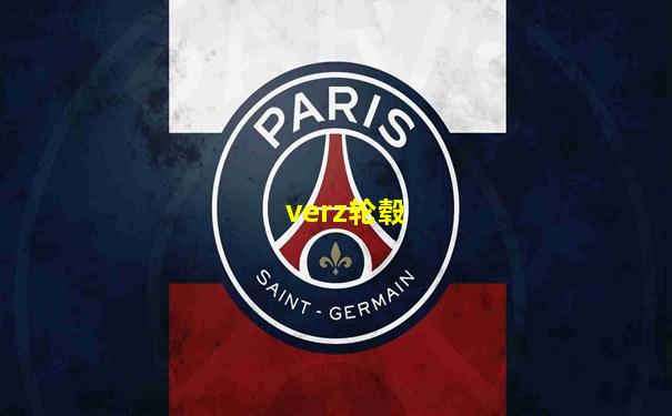 verz轮毂