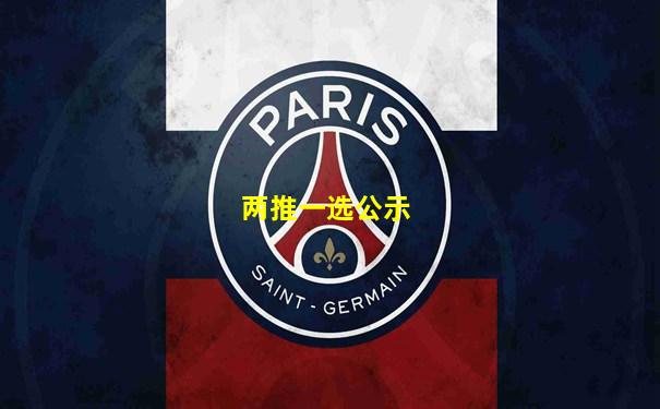 两推一选公示