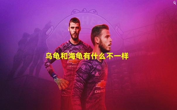 乌龟和海龟有什么不一样