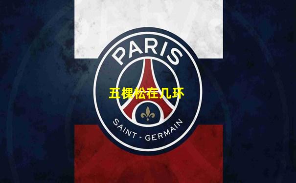 五棵松在几环