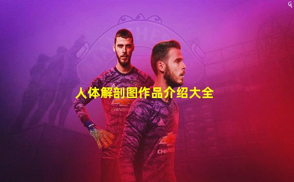 人体解剖图作品介绍大全
