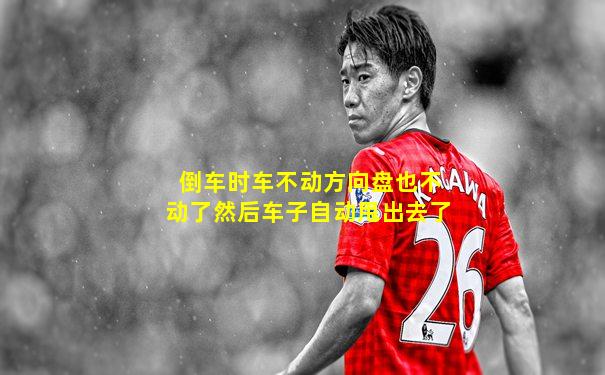 倒车时车不动方向盘也不动了然后车子自动甩出去了