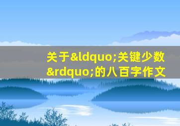 关于“关键少数”的八百字作文