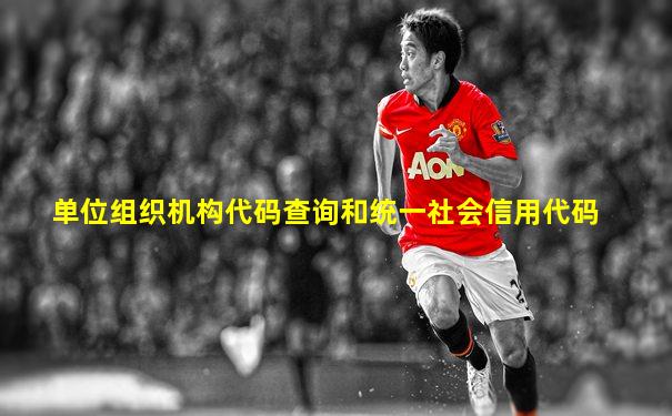 单位组织机构代码查询和统一社会信用代码