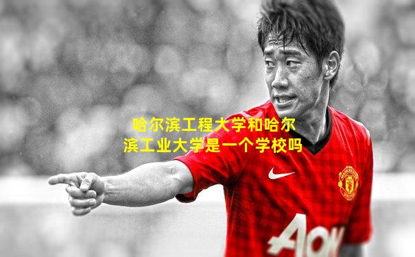 哈尔滨工程大学和哈尔滨工业大学是一个学校吗