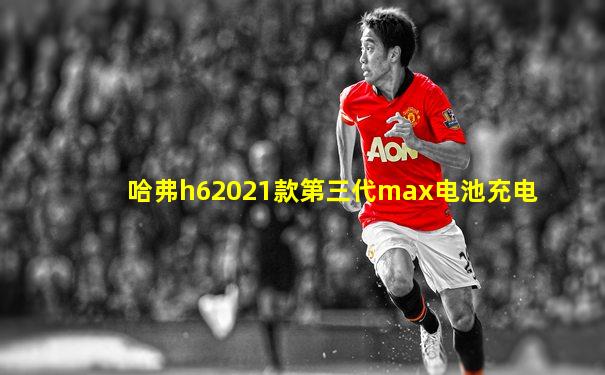 哈弗h62021款第三代max电池充电