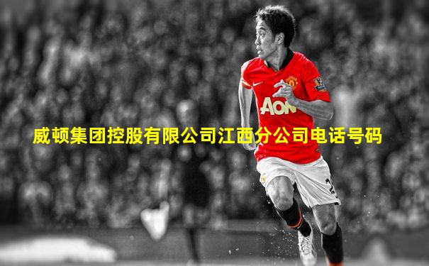 威顿集团控股有限公司江西分公司电话号码