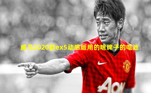 威马2020款ex5动感版用的啥牌子的电池