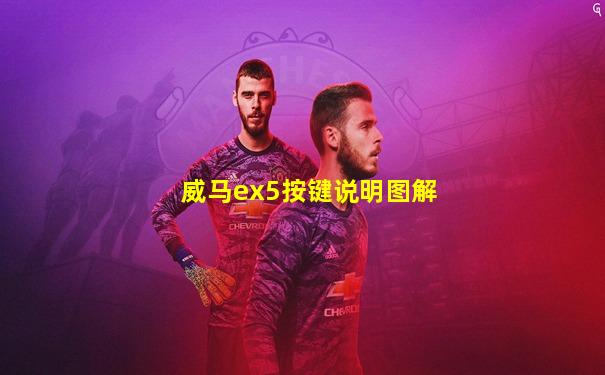 威马ex5按键说明图解