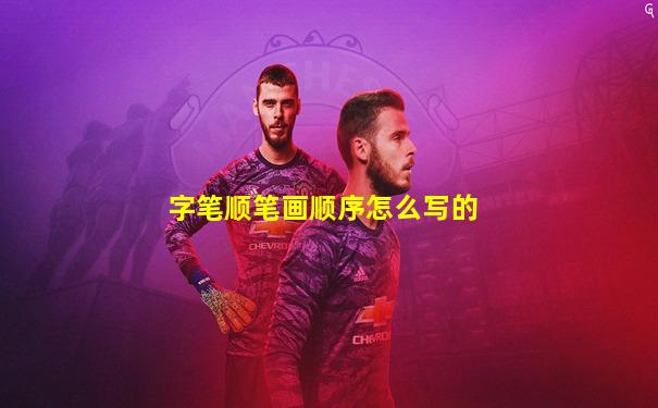 字笔顺笔画顺序怎么写的