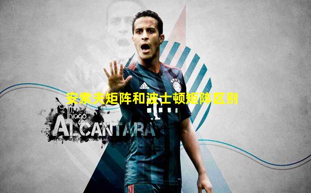 安索夫矩阵和波士顿矩阵区别