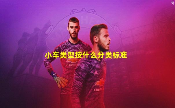 小车类型按什么分类标准