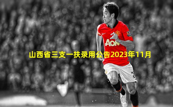 山西省三支一扶录用公告2023年11月