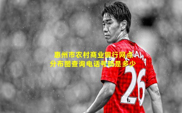 惠州市农村商业银行网点分布图查询电话号码是多少