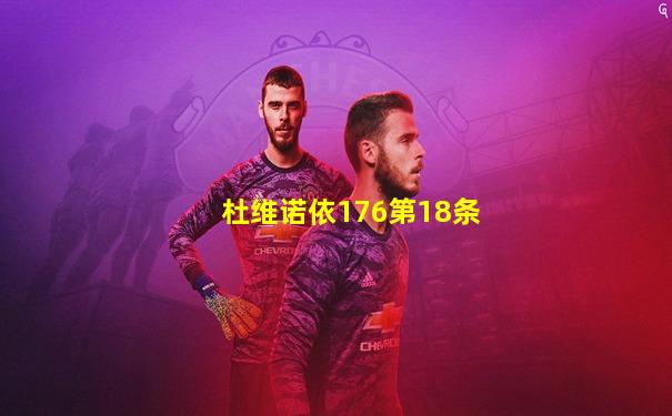 杜维诺依176第18条