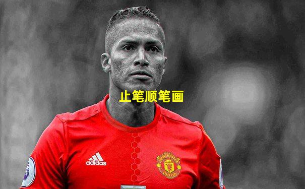 止笔顺笔画