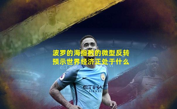 波罗的海指数的微型反转预示世界经济正处于什么
