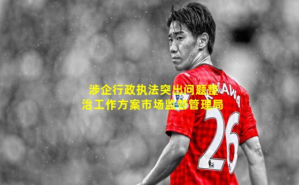 涉企行政执法突出问题整治工作方案市场监督管理局