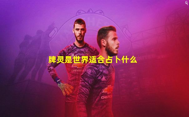 牌灵是世界适合占卜什么