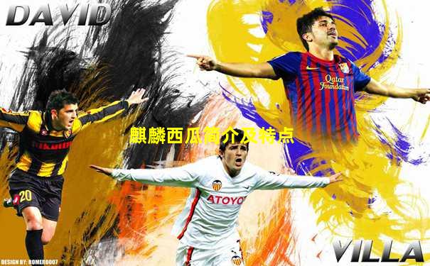麒麟西瓜简介及特点